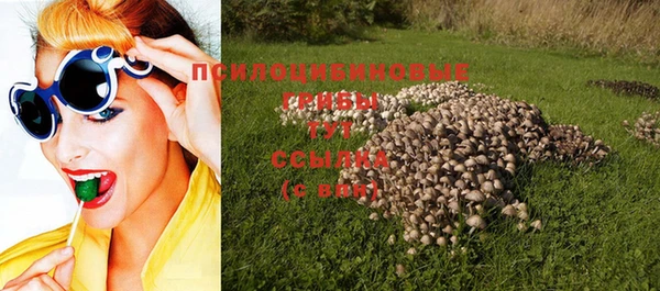 хмурый Майский