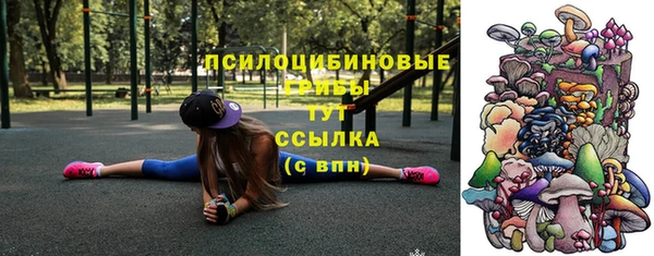 ECSTASY Магас