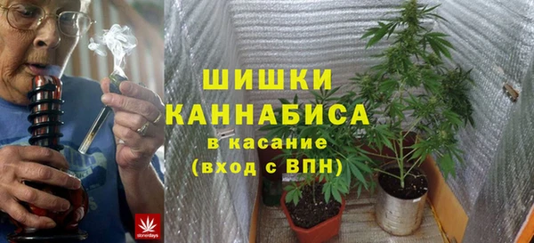 ECSTASY Магас