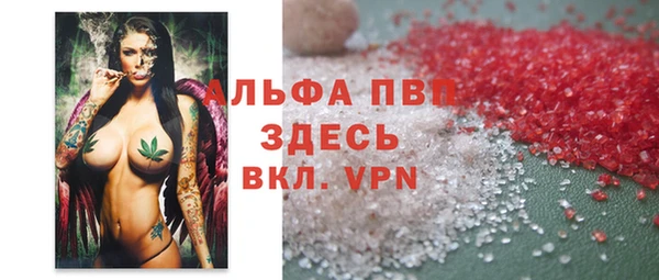 ECSTASY Магас