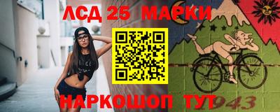 крисы Будённовск