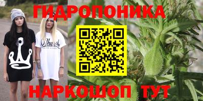 a pvp Волжский