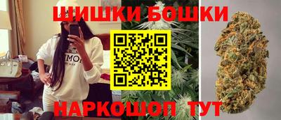 крисы Будённовск