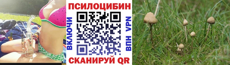 где найти наркотики  Ефремов  Псилоцибиновые грибы мухоморы 